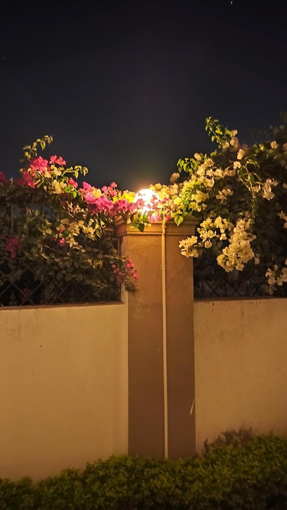 Shree Nanda Guest House Varanasi Eksteriør billede